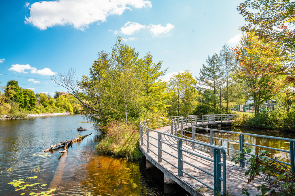 A boardwalk curves along a waterfront.
