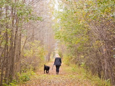 Omemee - Trail in the fall