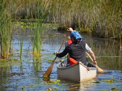 Kawartha Lakes - Canoeing