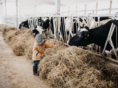 Kawartha Lakes - Vosbrae Farms